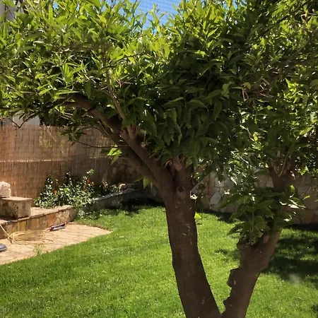 Apartamento Petros & *